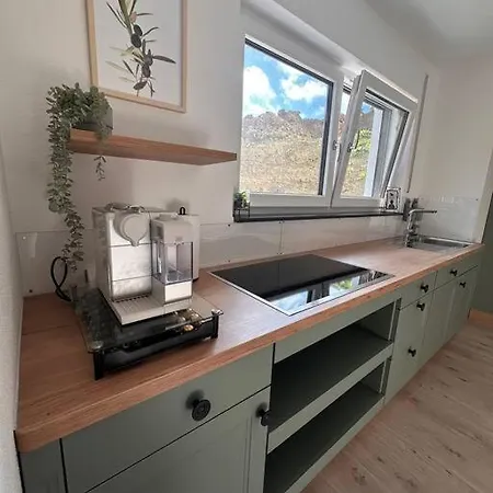 Liebevoll Und Gemuetlich! 公寓 梅斯基希